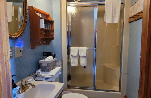 Bathroom with stand up shower with sliding doors, single sink with gold oval mirror